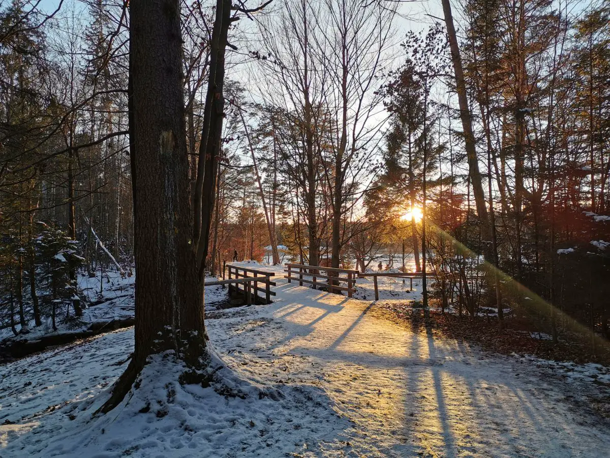 Winterspaziergang Osterseen: Blick auf eine Schnee bedekckte Holzbrücke, zwischen den Bäumen geht die Sonne unter