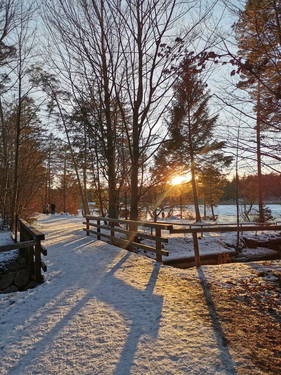 Winterspaziergang Osterseen: Blick auf eine Schnee bedekckte Holzbrücke, zwischen den Bäumen geht die Sonne unter