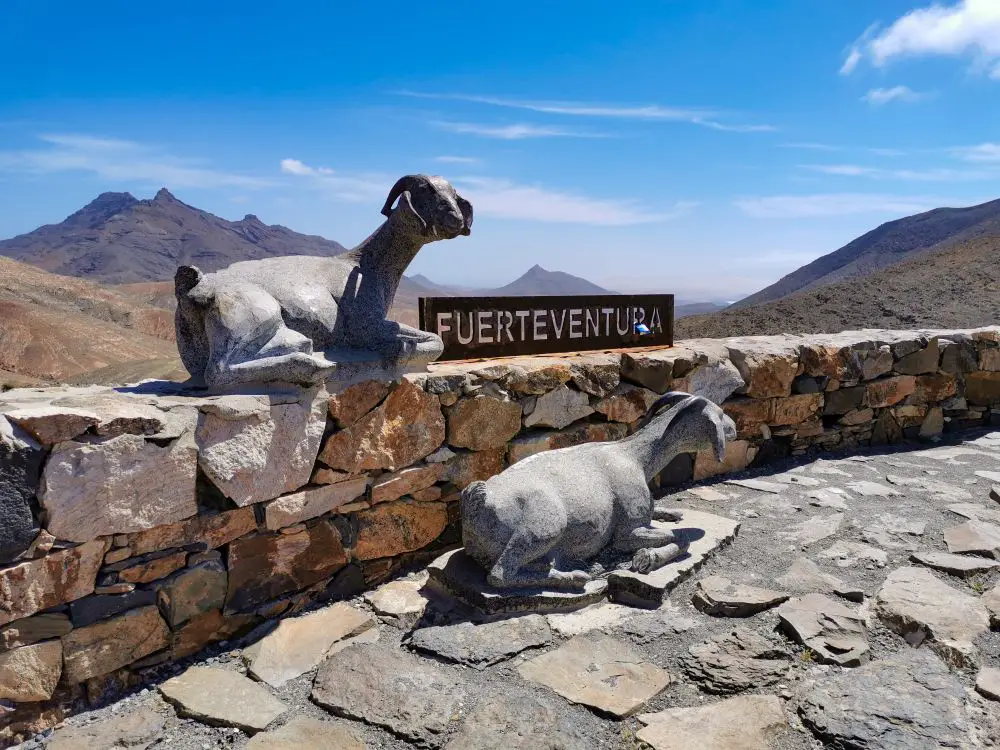 Aussichtspunkt auf Fuerteventura, Man sieht ein Schild mit der Aufschrift Fuerteventura und zwei Statuen, die Ziegen darstellen und neben dem Schild liegen.