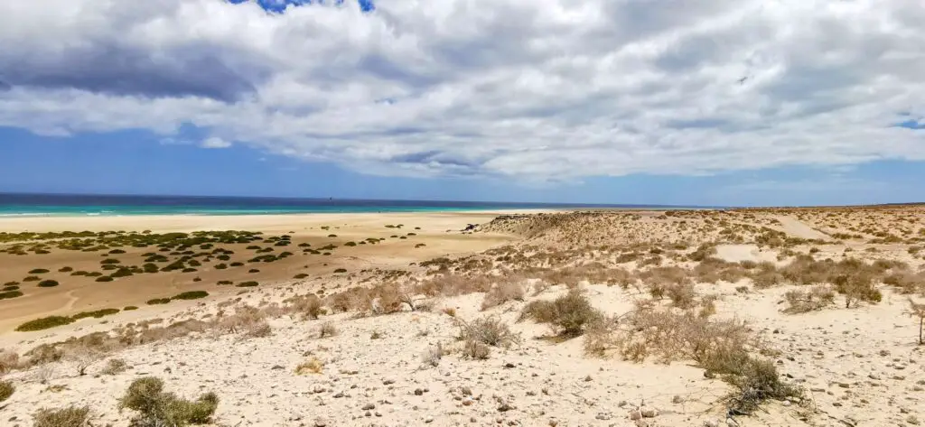 Playa de Sotavento: breiter weißer Sandstrand und trürkises Meer