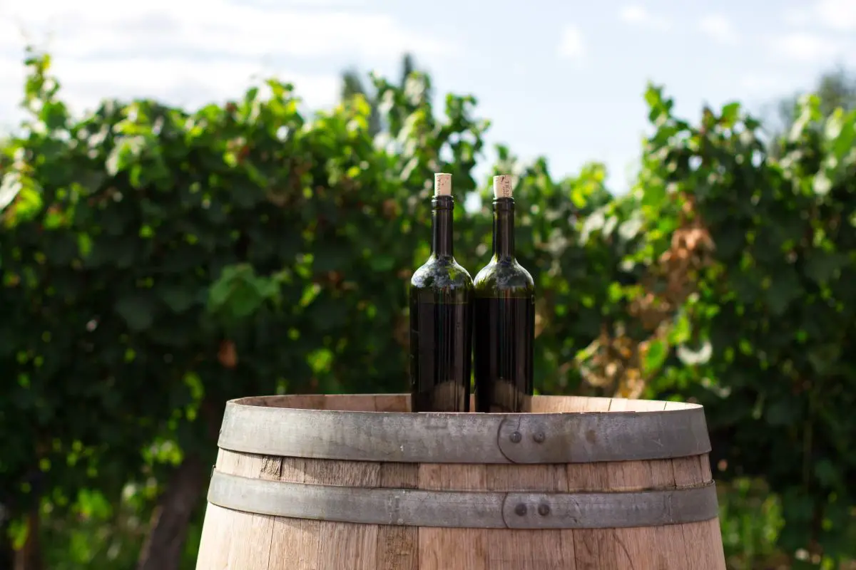 Winetasting auf der griechischen Insel Kefalonia